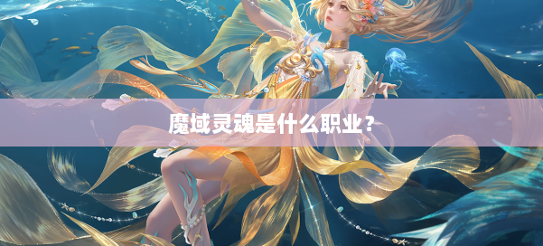 魔域灵魂是什么职业？